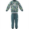 Tute cotone boy adidas stampa dinosauri