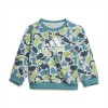 Tute cotone boy adidas stampa dinosauri