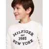 Felpa monotype flock reg sweatshirt bianca tommy hilfiger