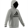 Felpa Hoodie adidas Essentials con logo davanti